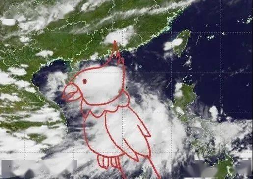 台风鹦鹉最新爆料,最新动态及防范措施全解析”